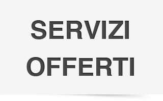 servizinoleggio